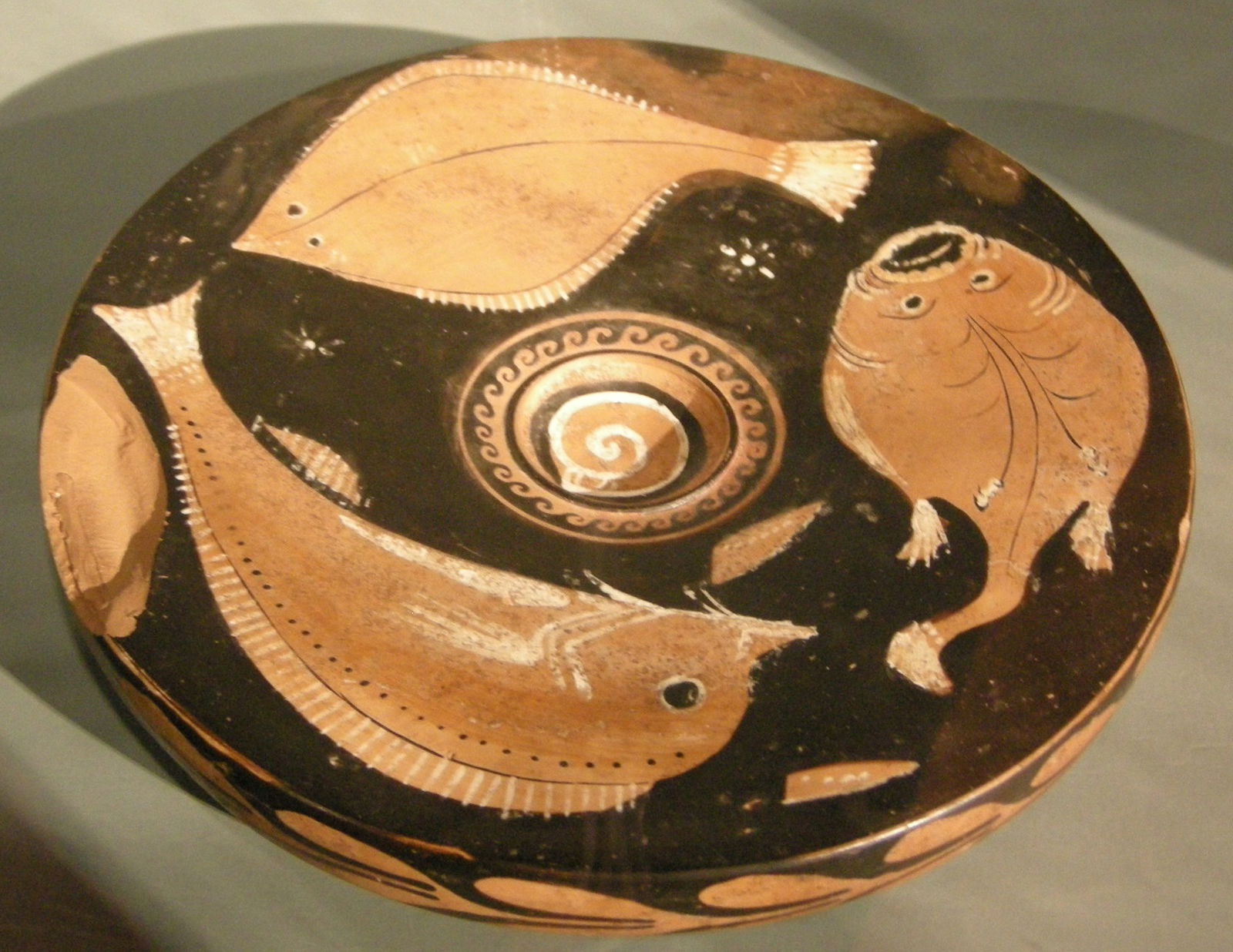 Museo civico d'arte antica