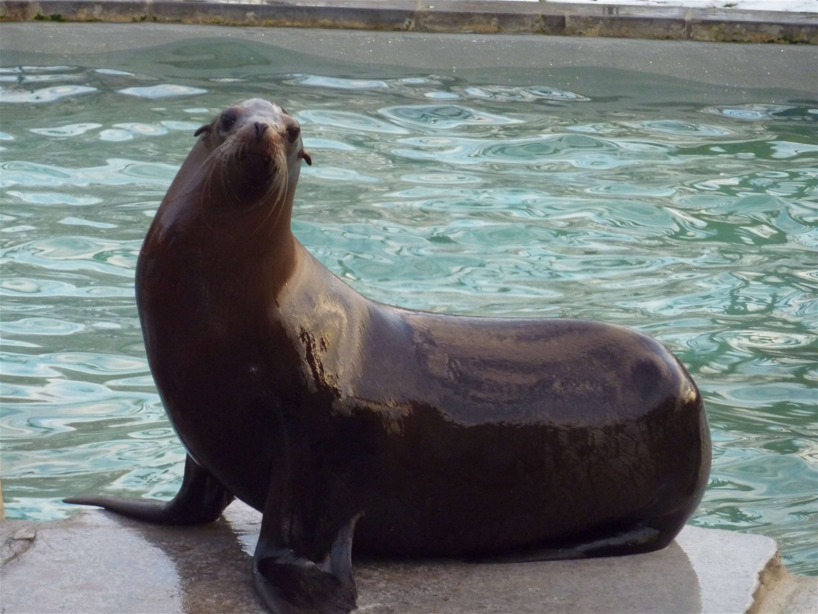 Wilhelma Zoo and Botanical Garden