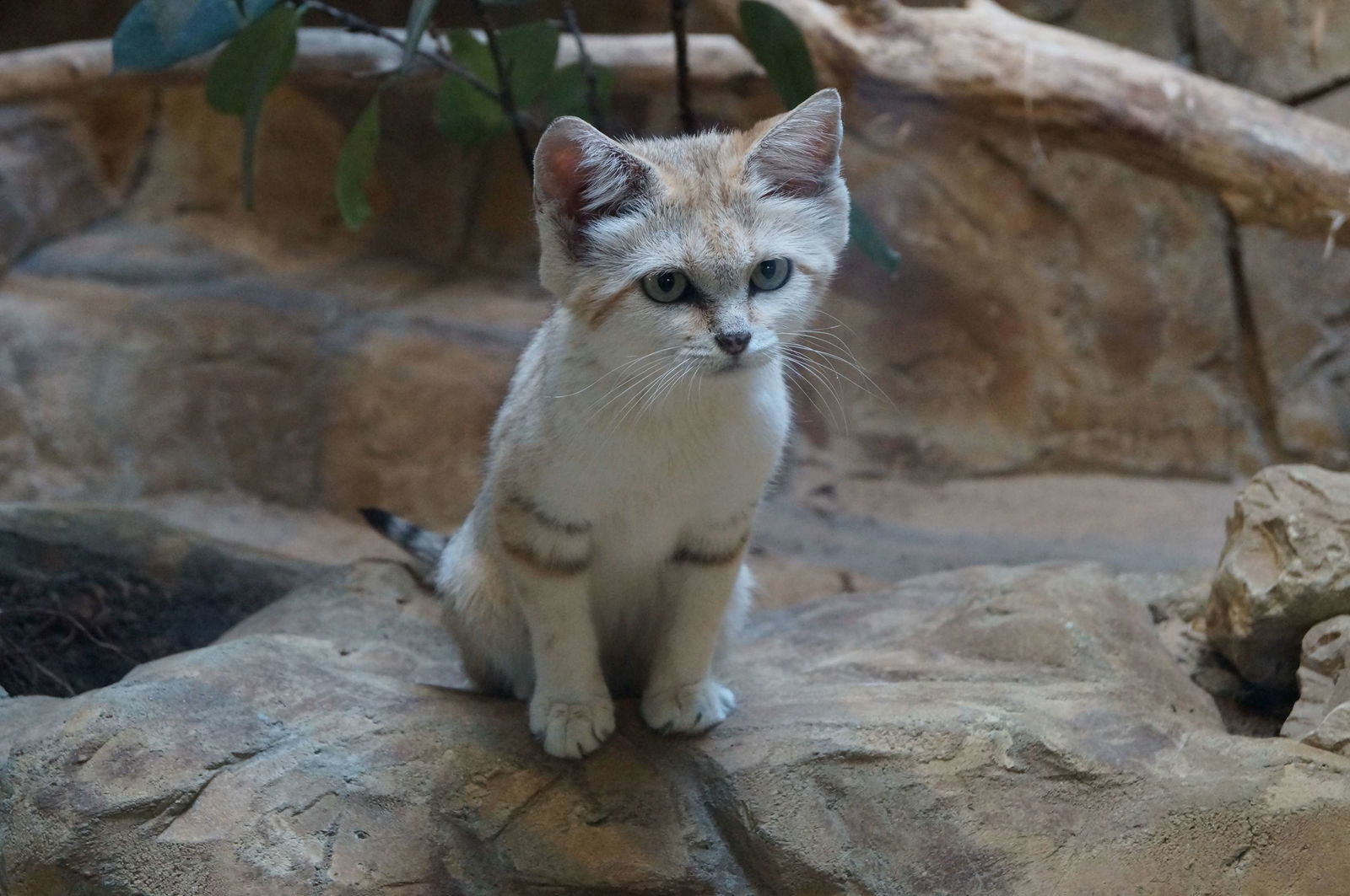 Zoologischer Garten Berlin