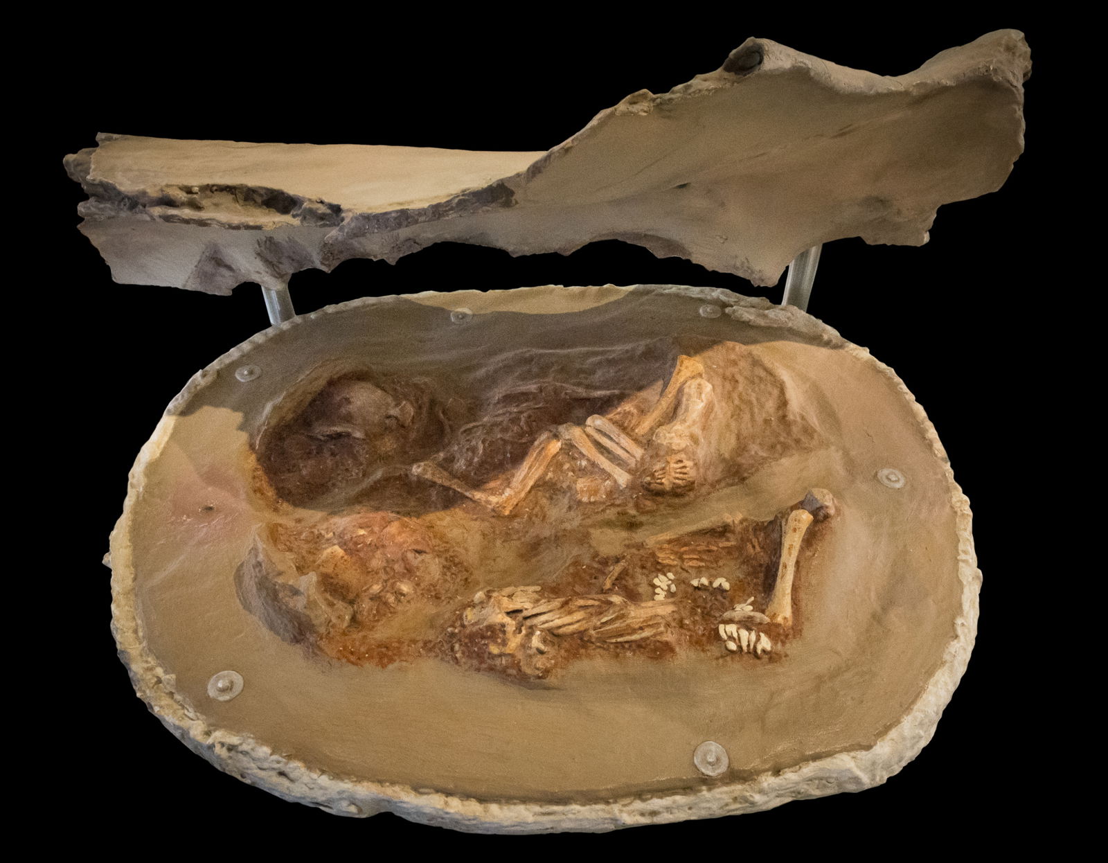 Naturhistorisches Museum