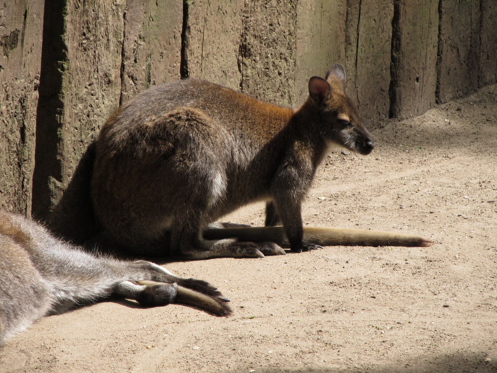 Familiepark Harry Malter