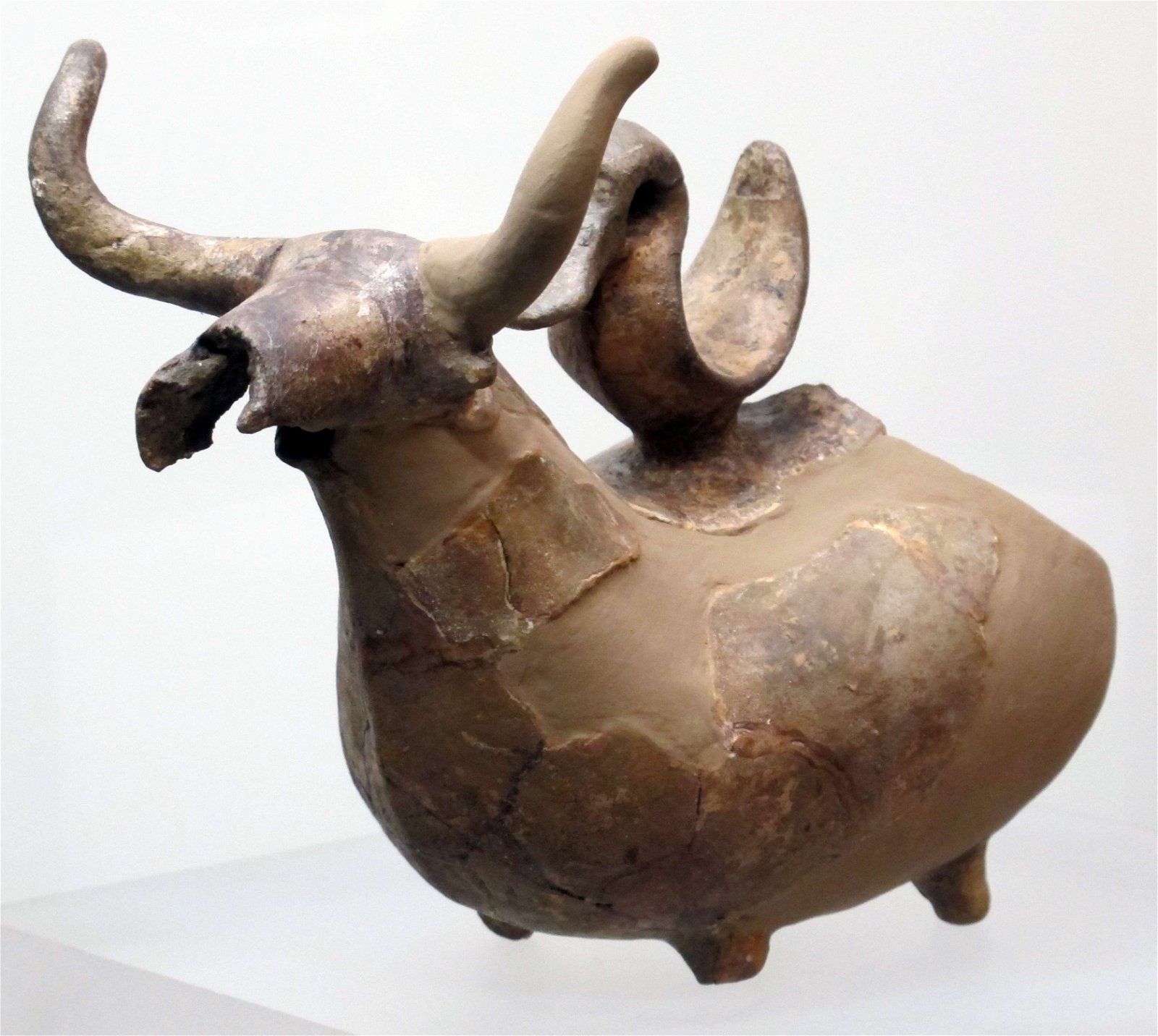 Museo Civico Archeologico