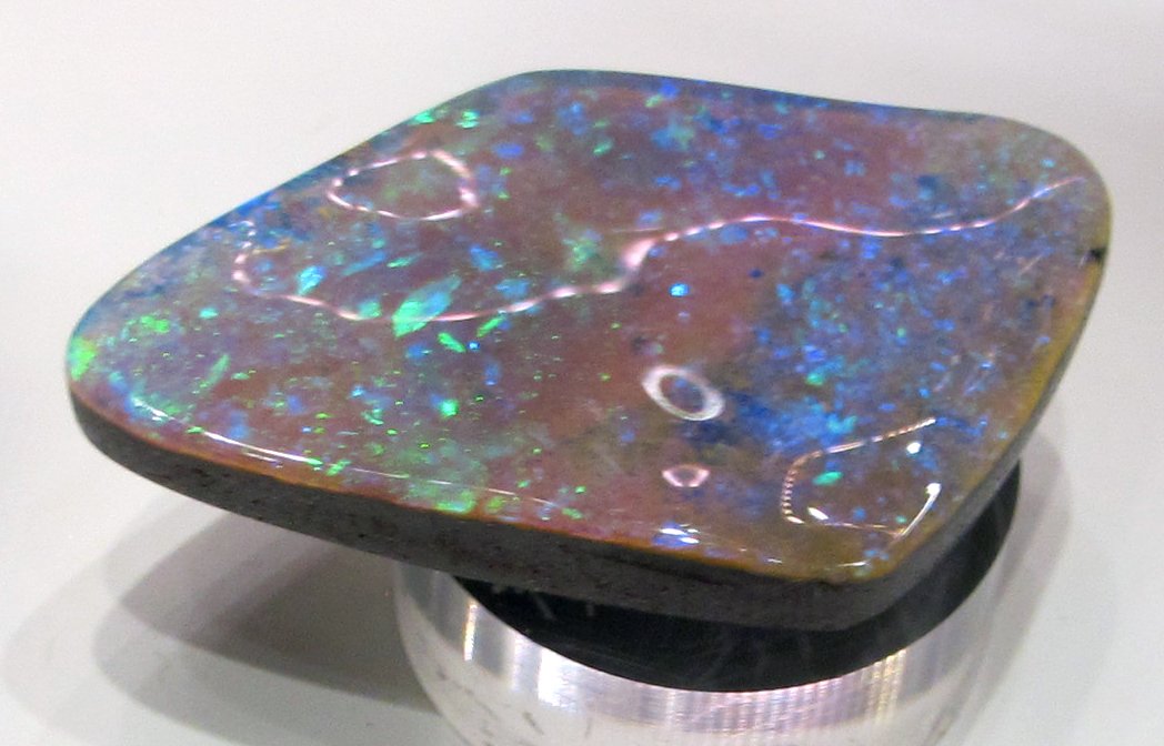 University of Florence Natural History Museum - Geology and Paleontology