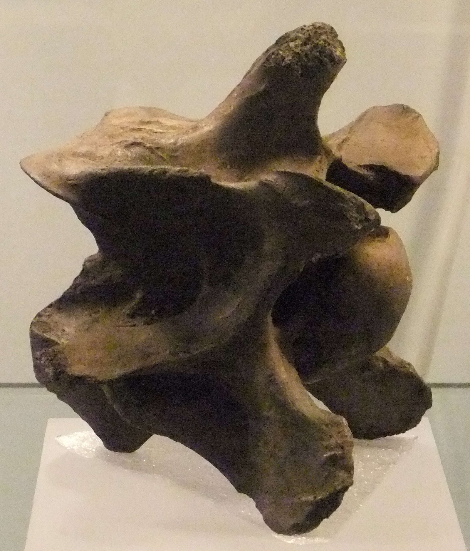 Wrexham County Borough Museum and Archives