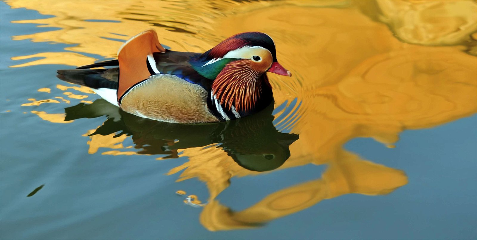 Erlebnis Zoo Hannover