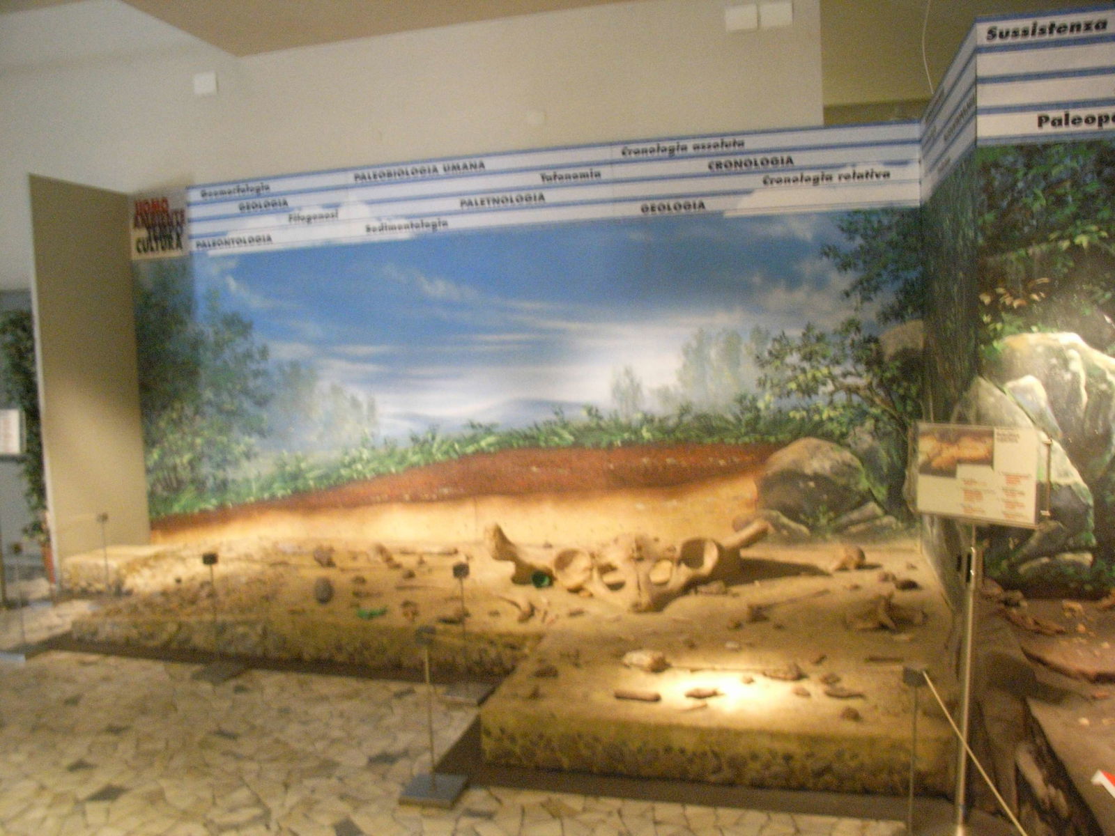 Pigorini National Museum of Prehistory and Ethnography
