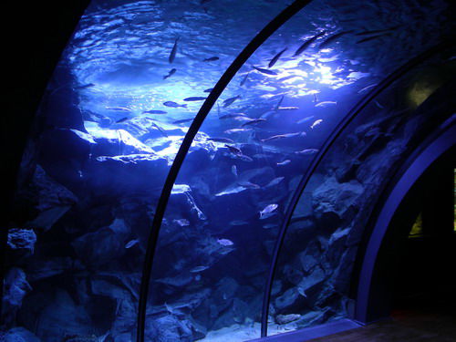 Acquario civico