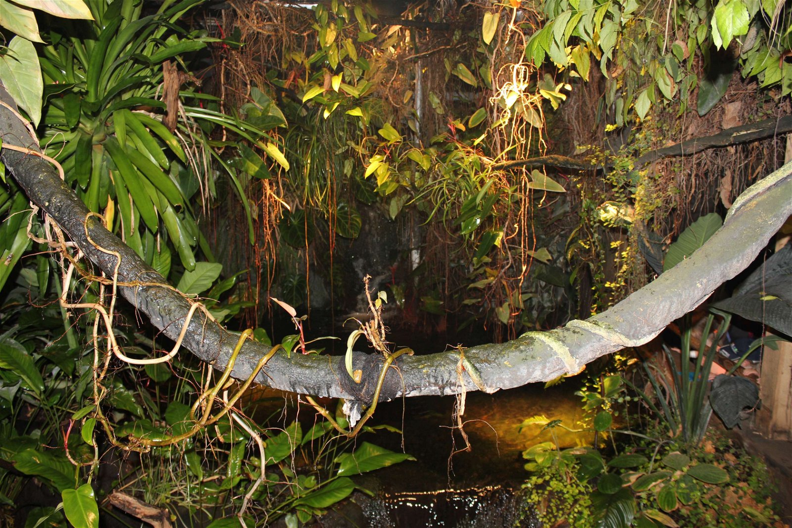 Aquaria Water Museum