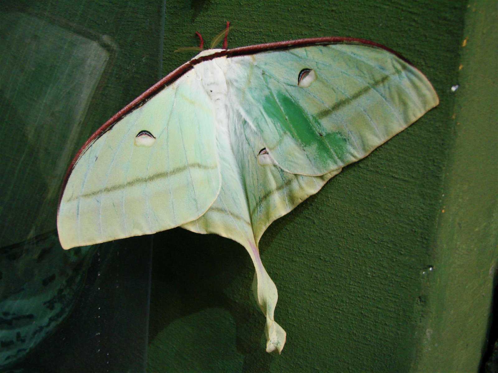 Wroclaw Zoo & Africarium