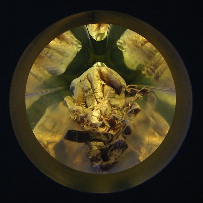 National Museum of Natural Sciences of Spain