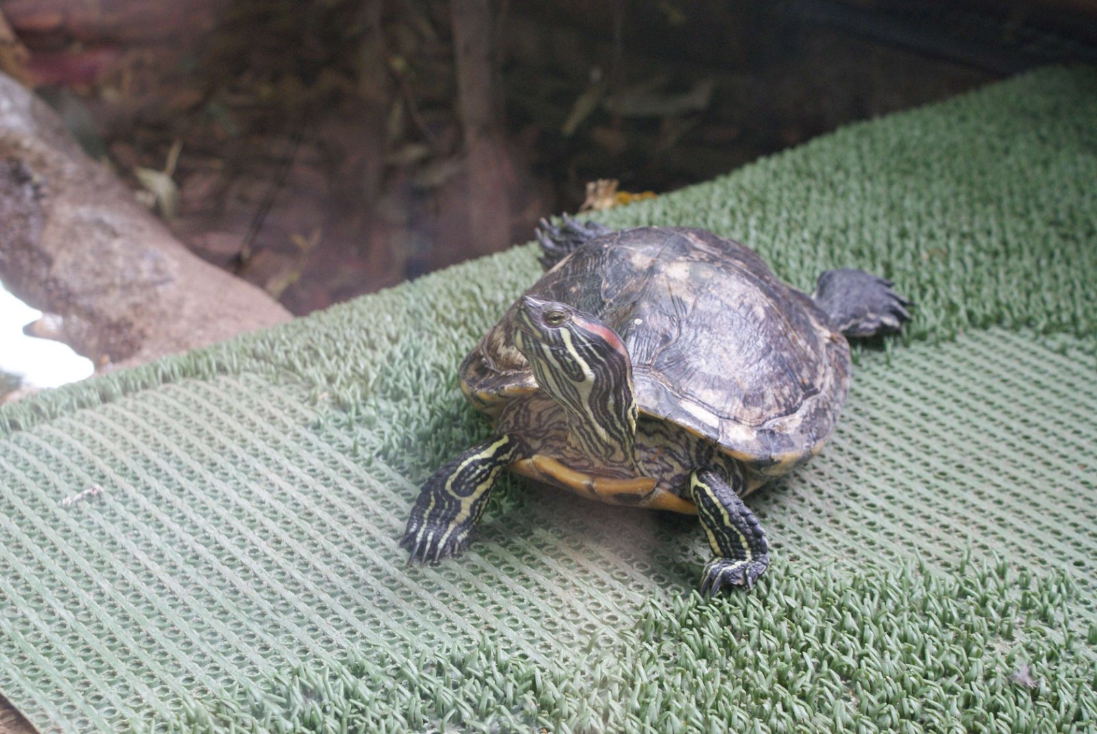 Tropicarium - Oceanarium