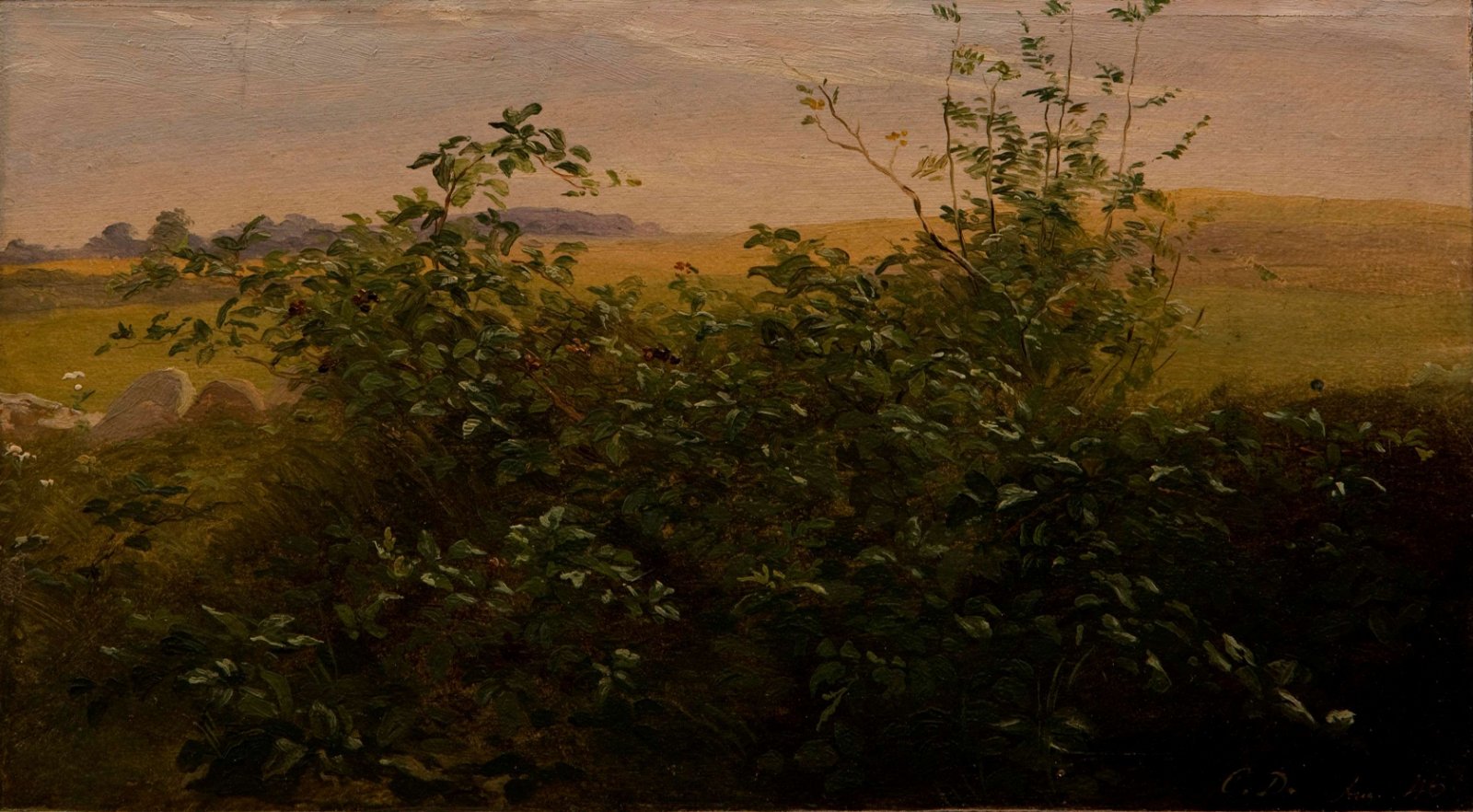 Hirschsprung Collection (Hirschsprungske Samling)