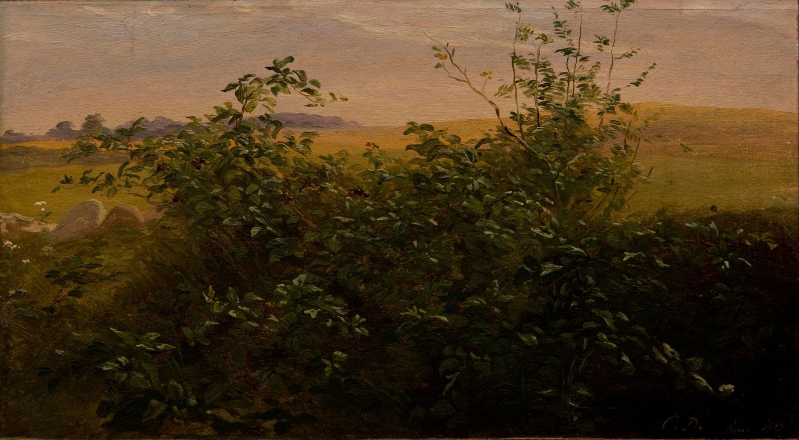 Hirschsprung Collection (Hirschsprungske Samling)