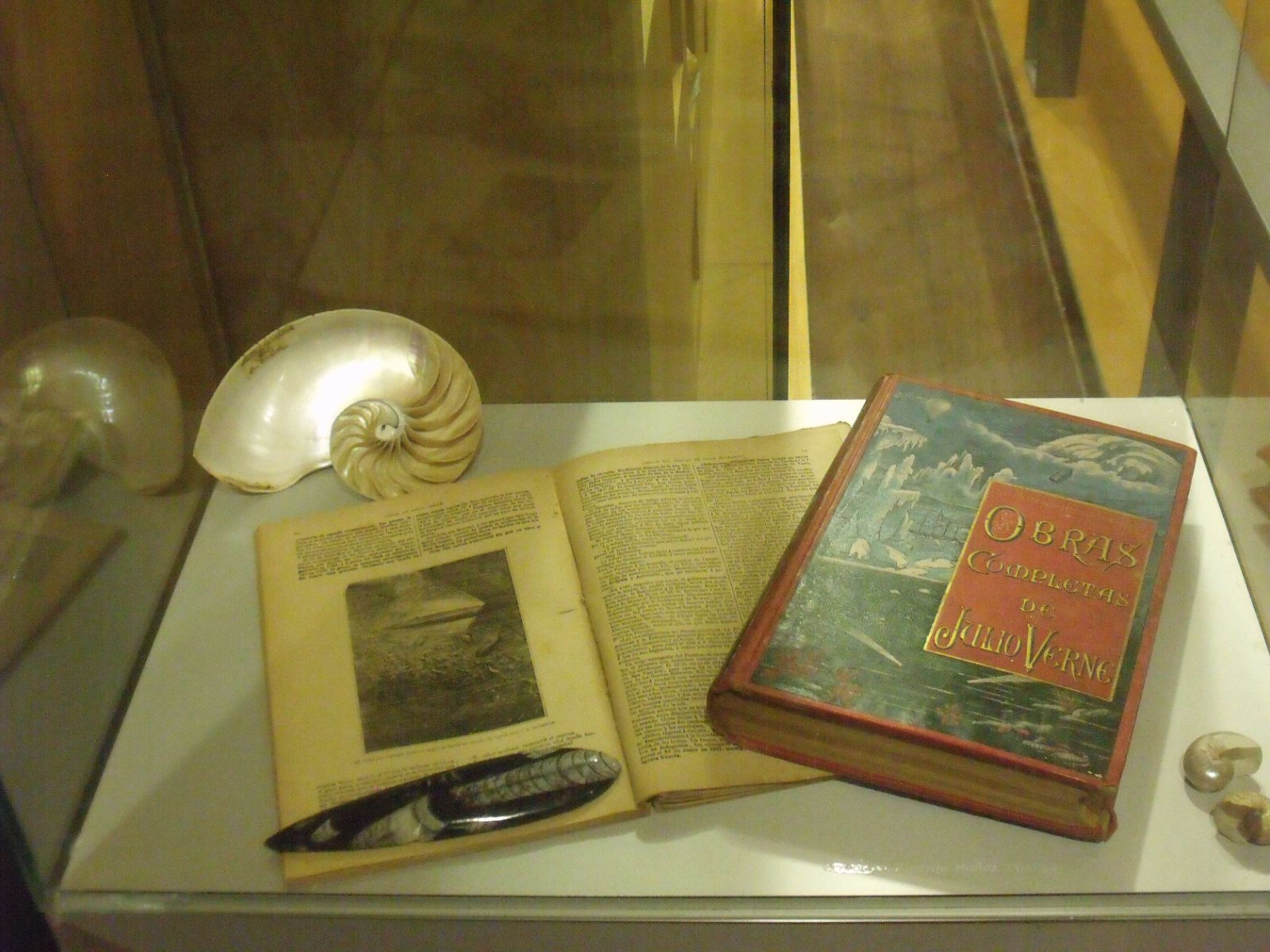 Museum of Natural Science