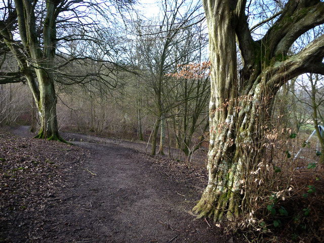 Weald and Downland Living Museum