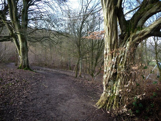 Weald & Downland Open Air Museum
