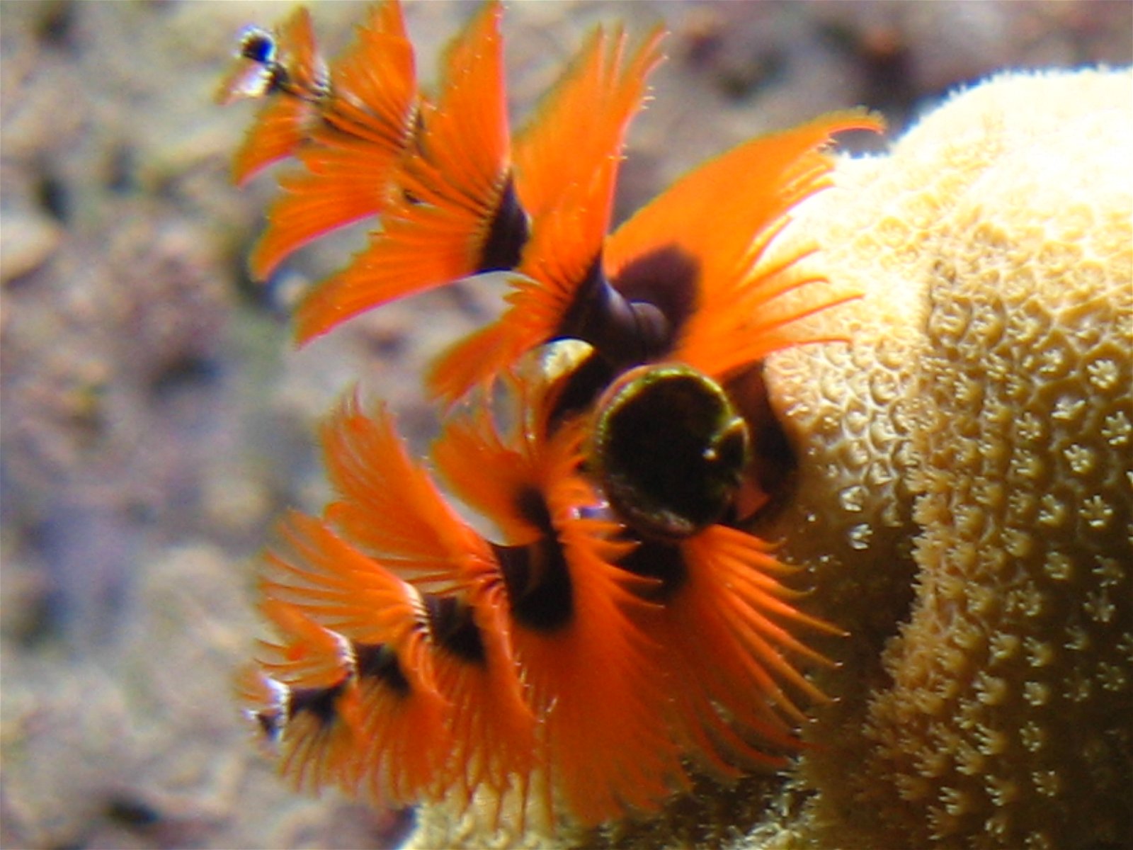 Aquazoo – Löbbecke-Museum Düsseldorf