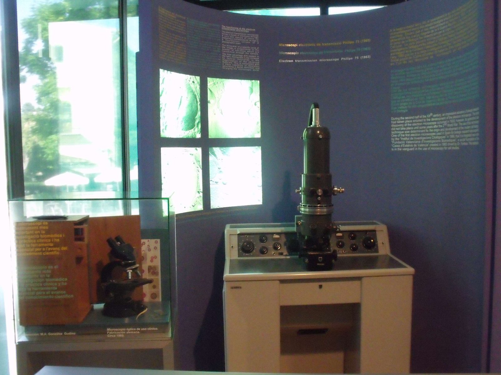 Museum of Natural Science