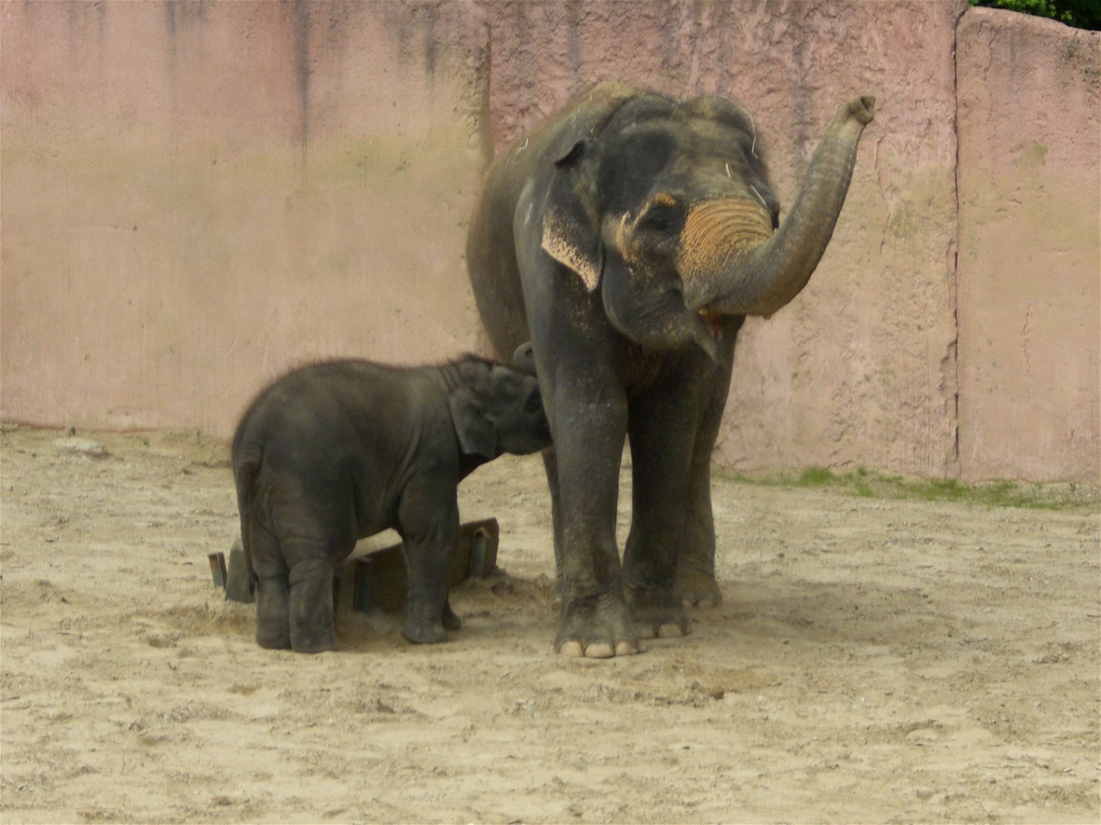 Erlebnis Zoo Hannover
