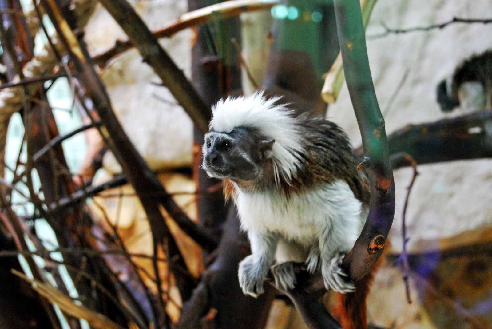 Zoologischer Garten Berlin