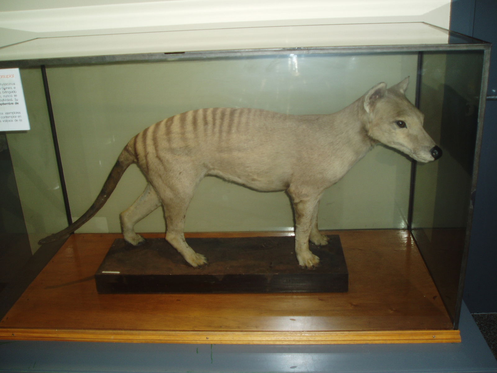 Museo Nacional de Ciencias Naturales