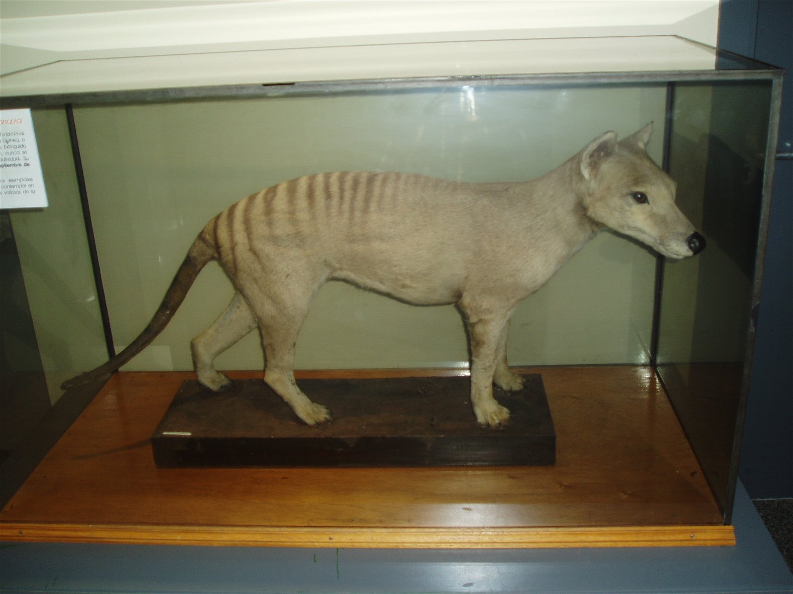 National Museum of Natural Sciences of Spain