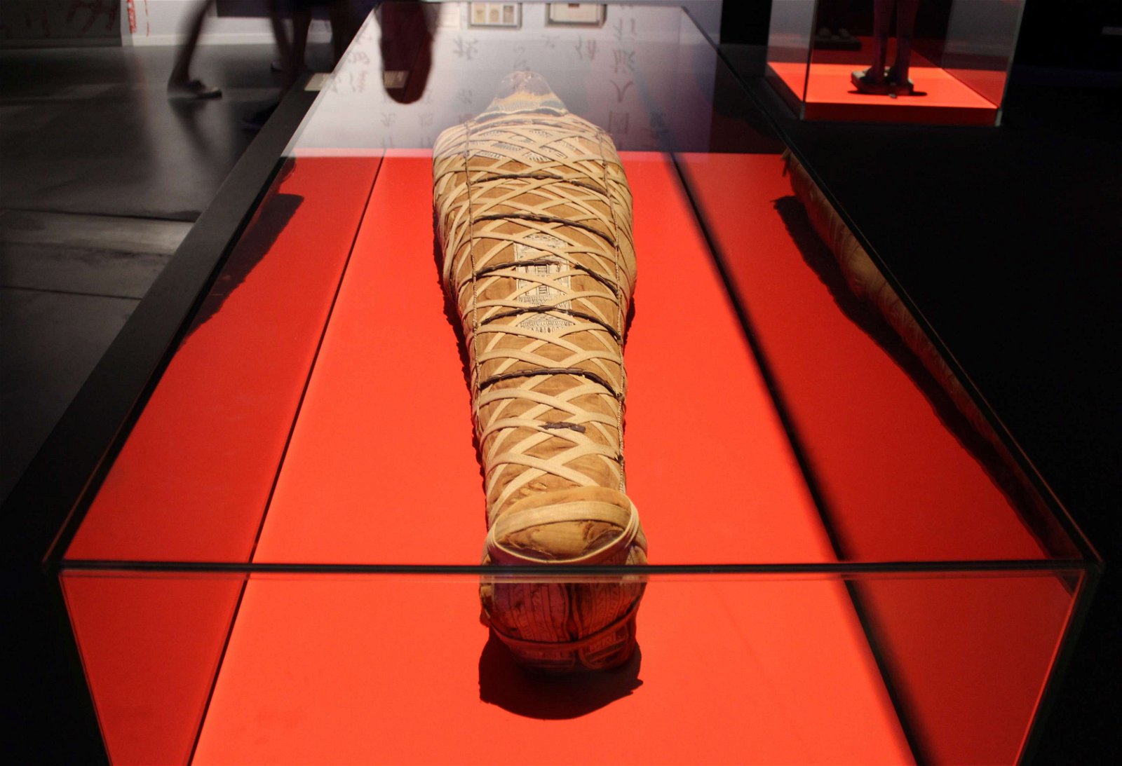 Musée des Confluences