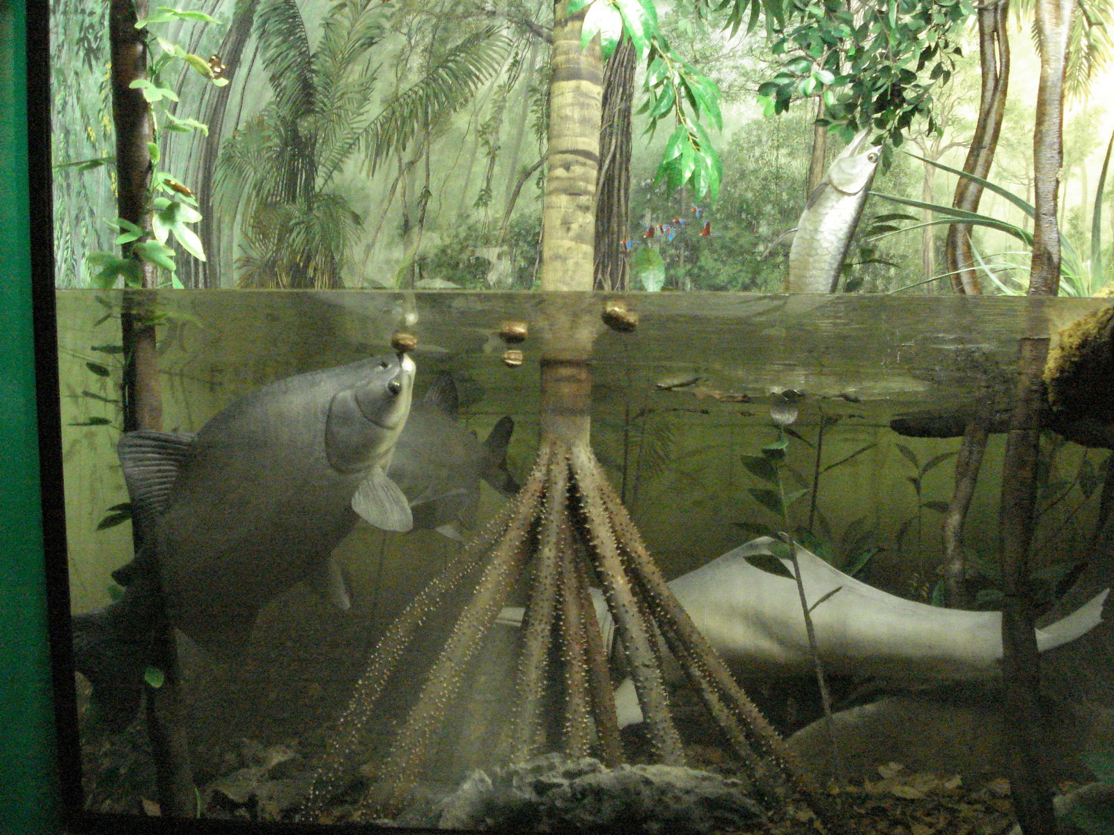 Civico Museo di Storia Naturale