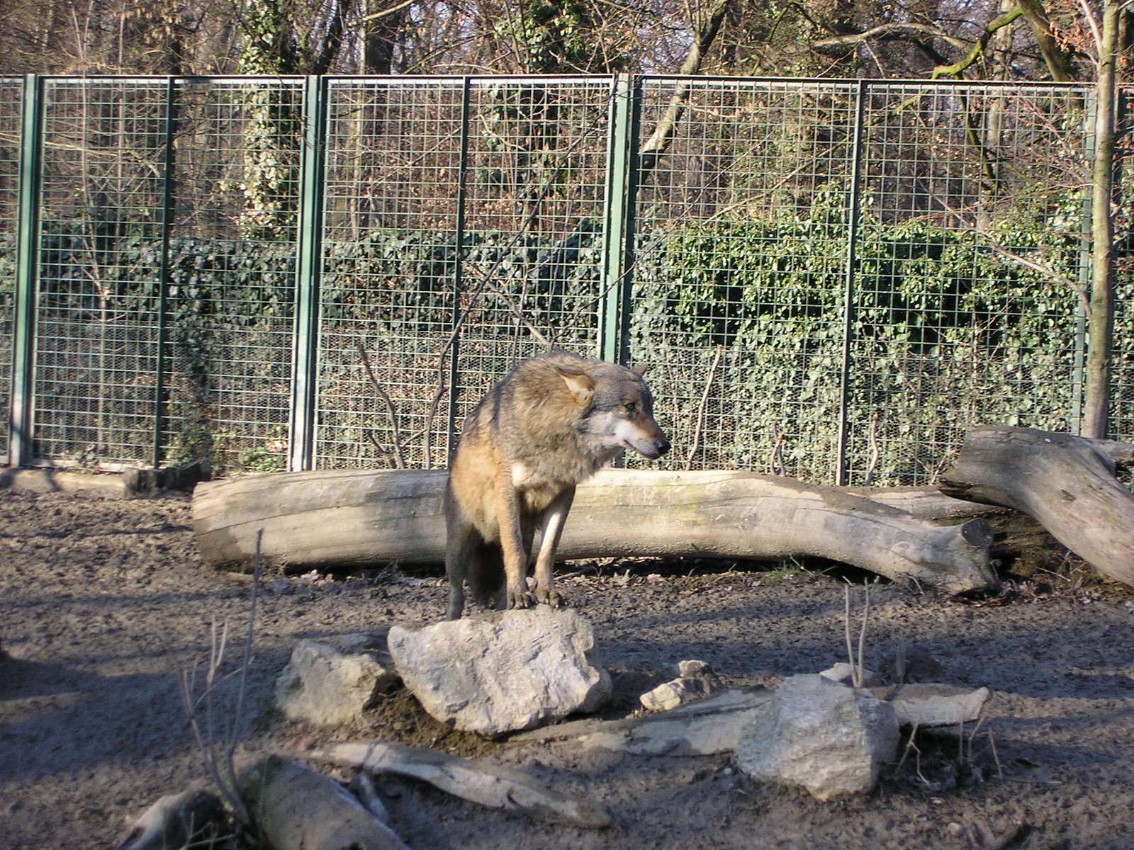 Zagreb Zoo