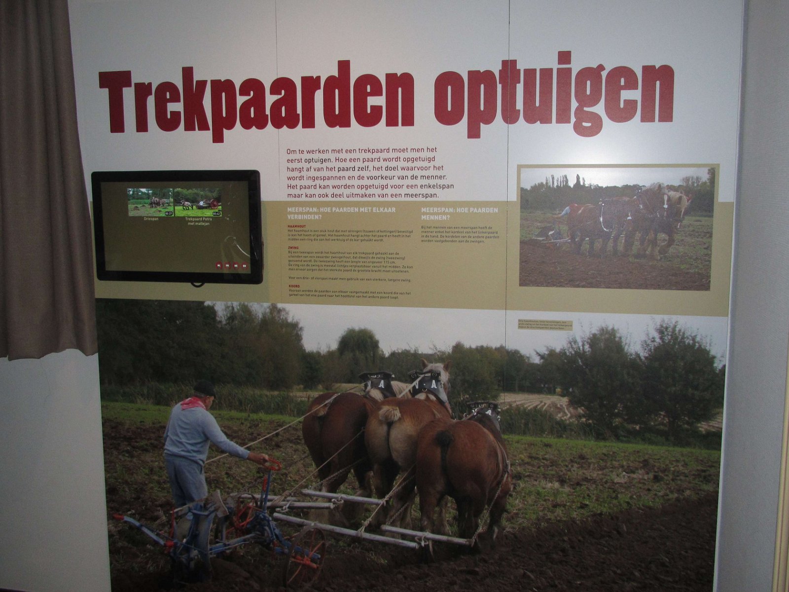 Museum van het Belgisch Trekpaard