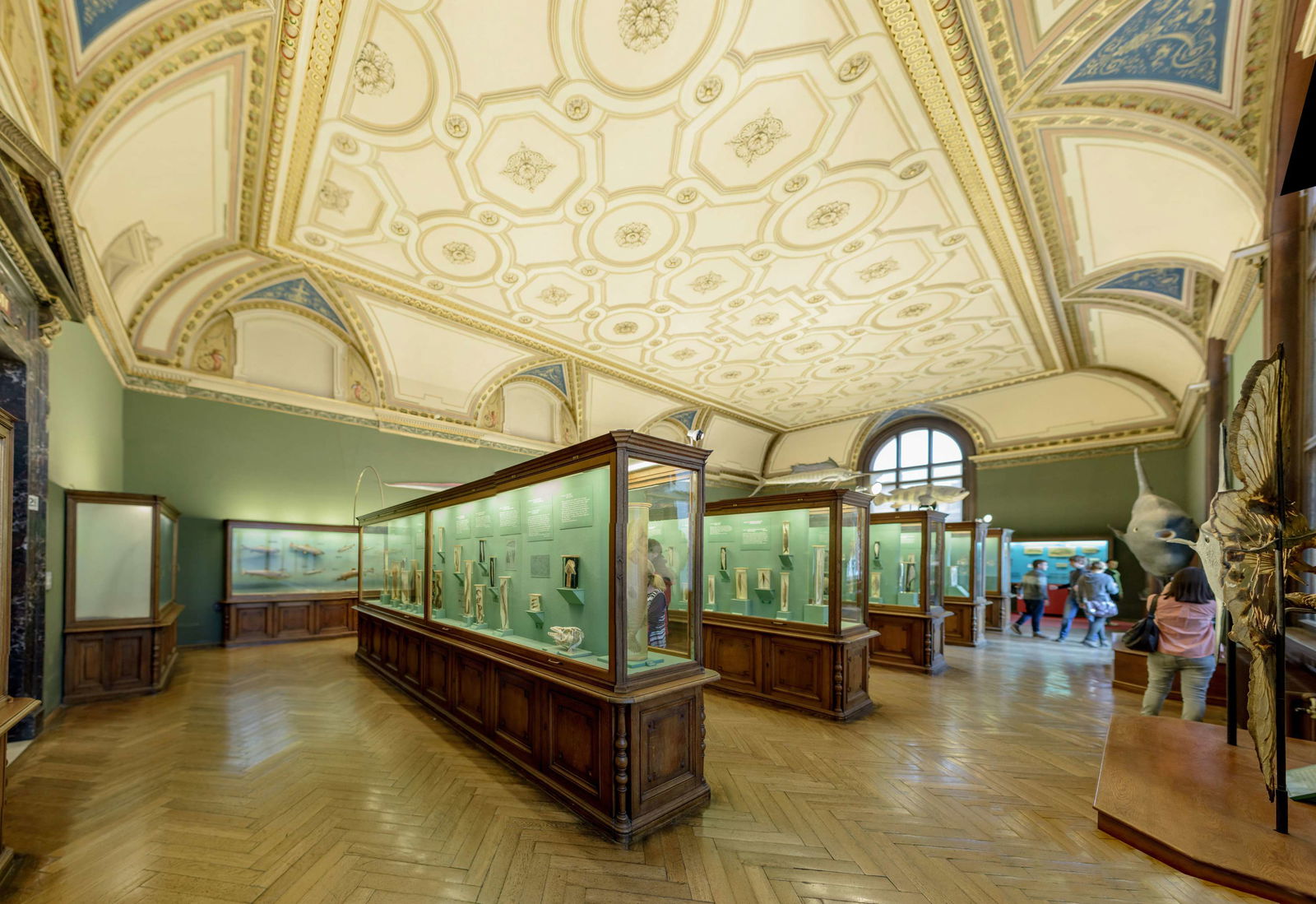 Naturhistorisches Museum