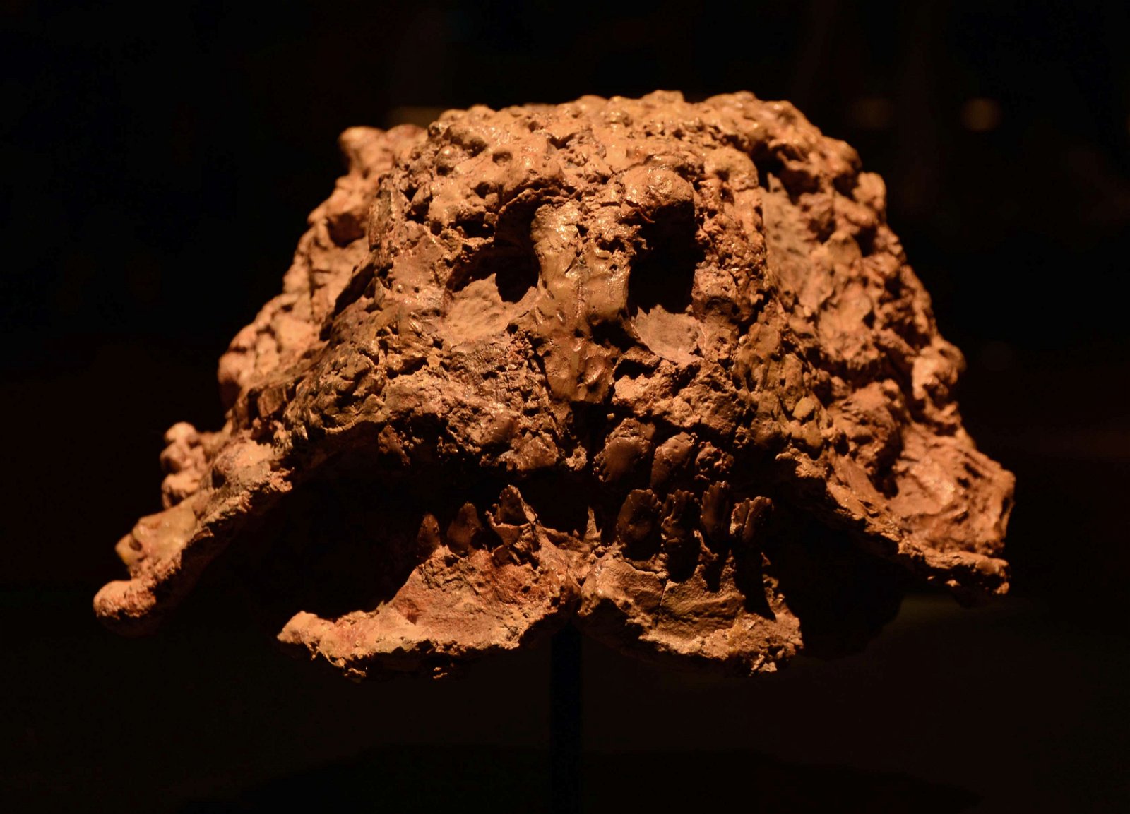 Musée des Confluences