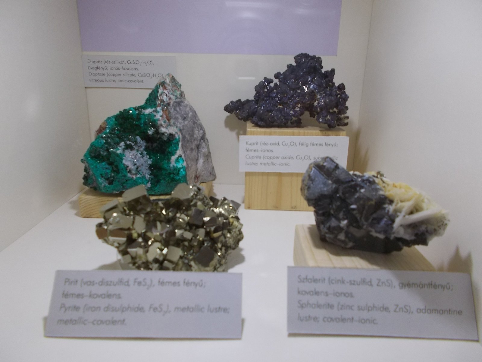 Hungarian Natural History Museum