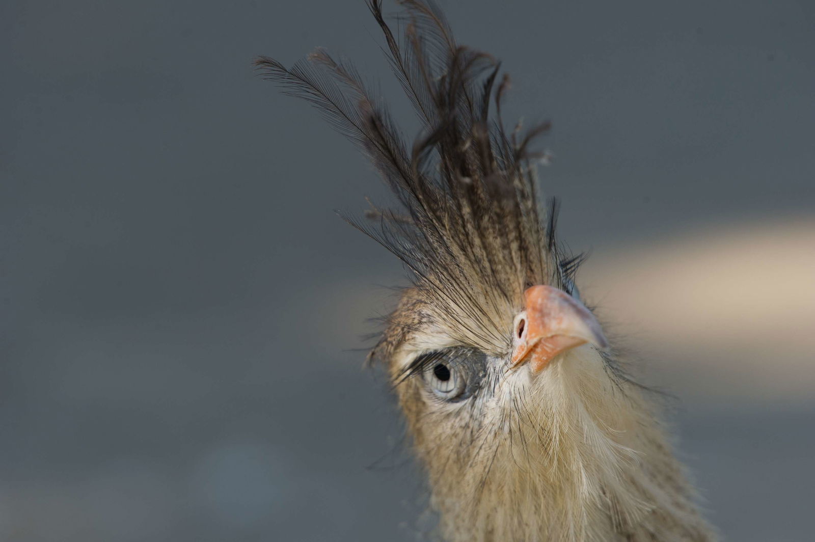 Tiergarten Schönbrunn
