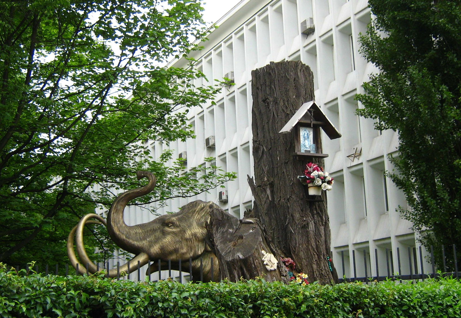 Geological Museum of the Polish Geological Institute