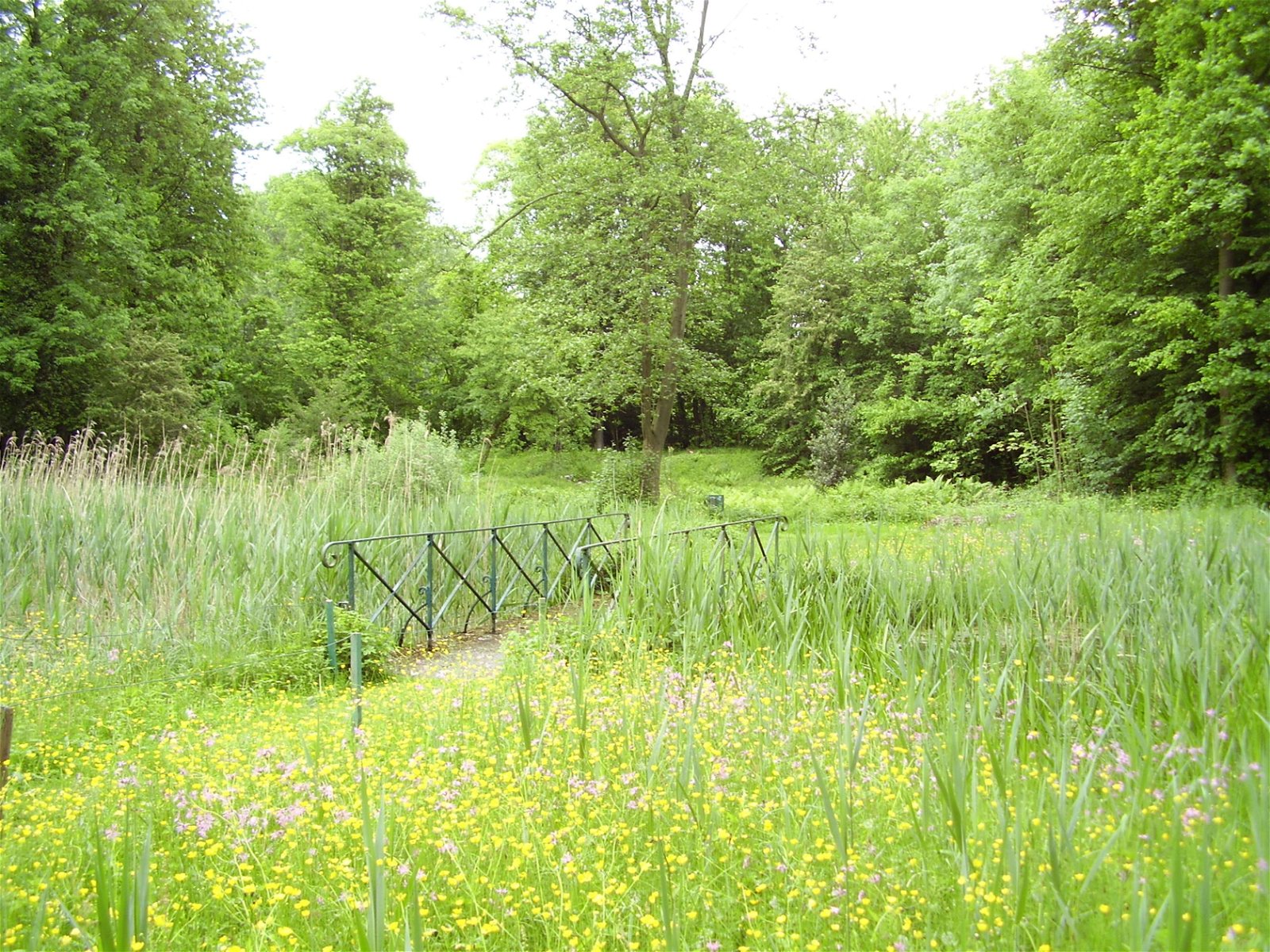 Plantentuin Jean Massart