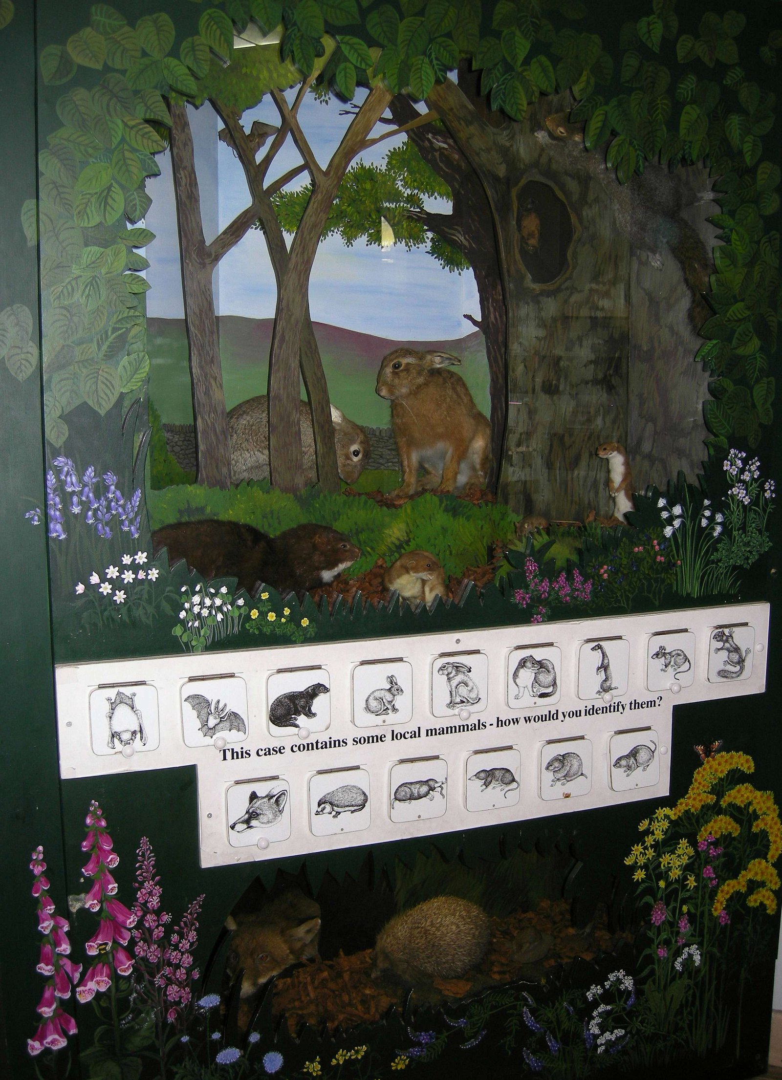 Bracken Hall Countryside Museum