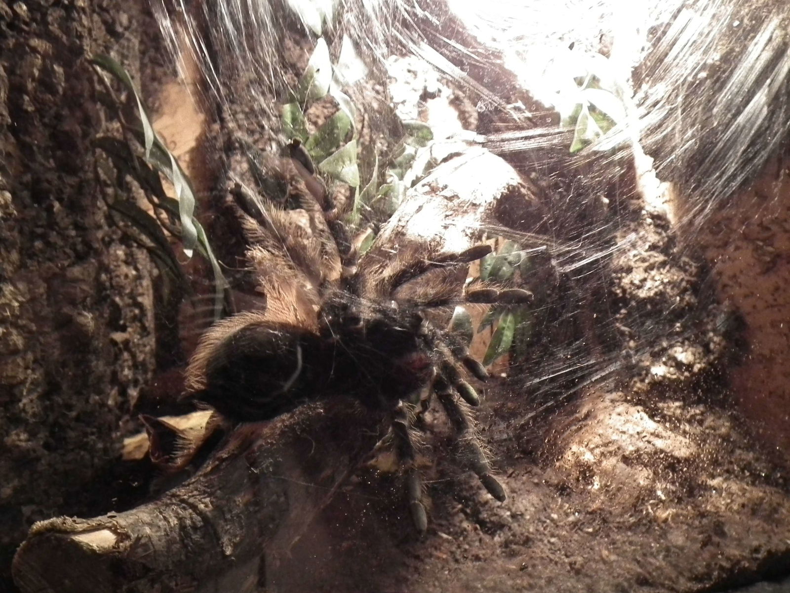 Aquarium and Museum of Natural History in Krakow