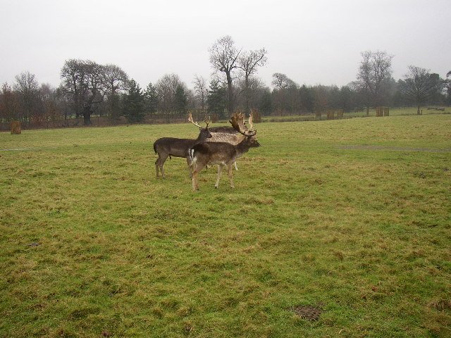 Normanby Hall Country Park