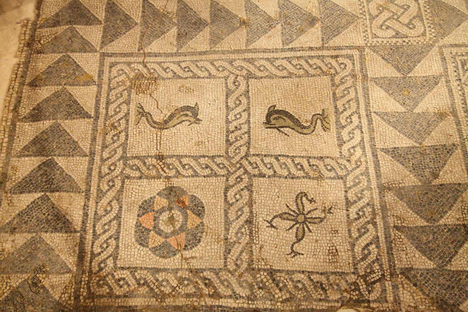 National History Museum