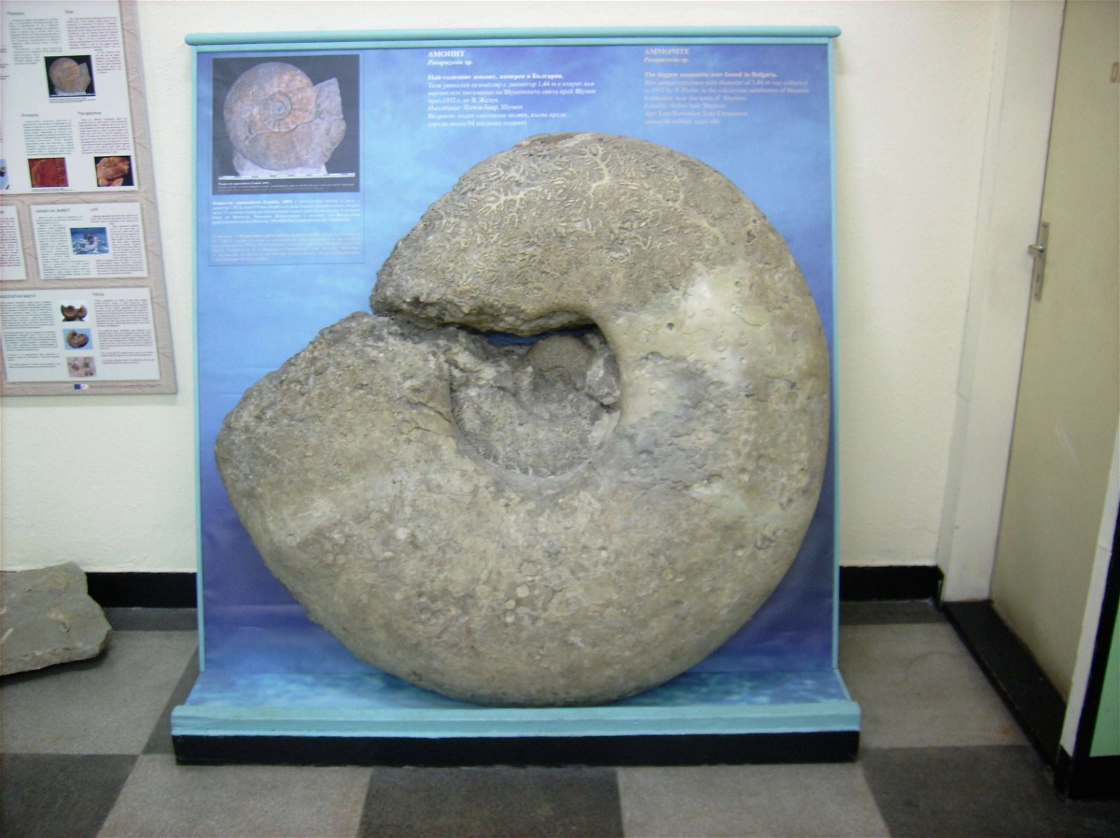 National Museum of Natural History