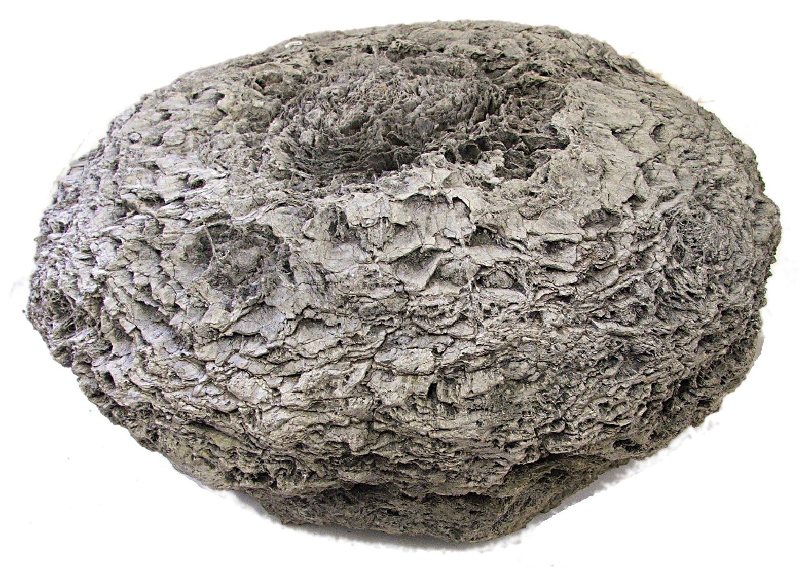 Sedgwick Museum of Earth Sciences