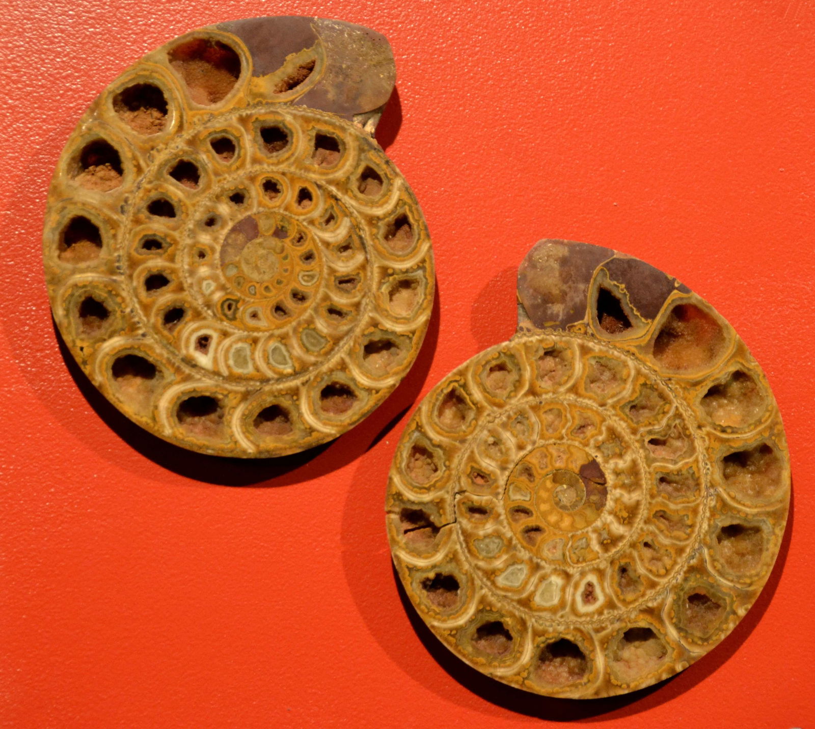 Museum Reich der Kristalle