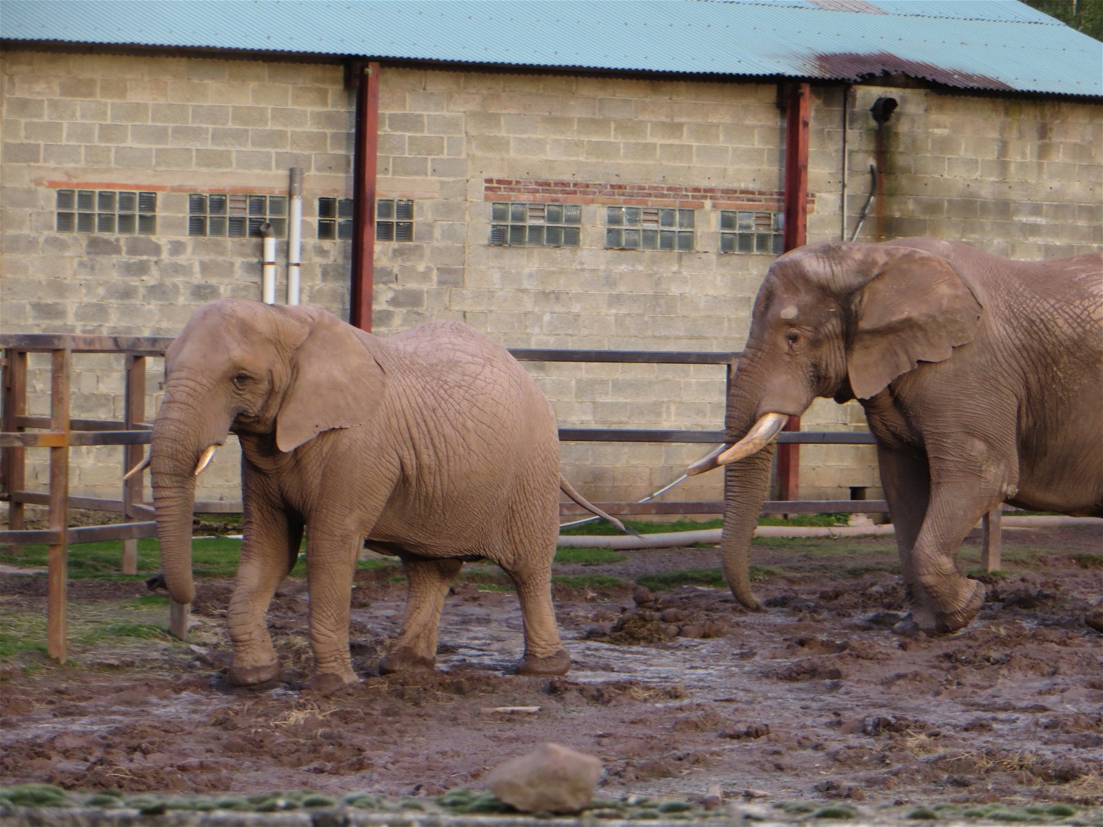 Monde Sauvage Safari Parc