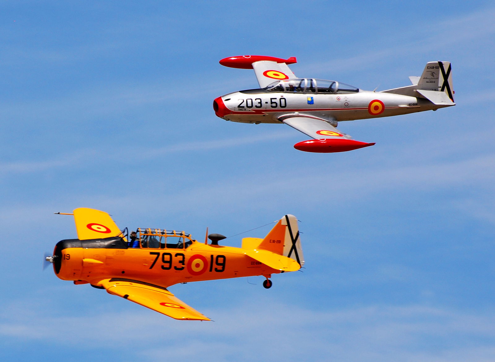 Infante de Orleans Foundation Museum