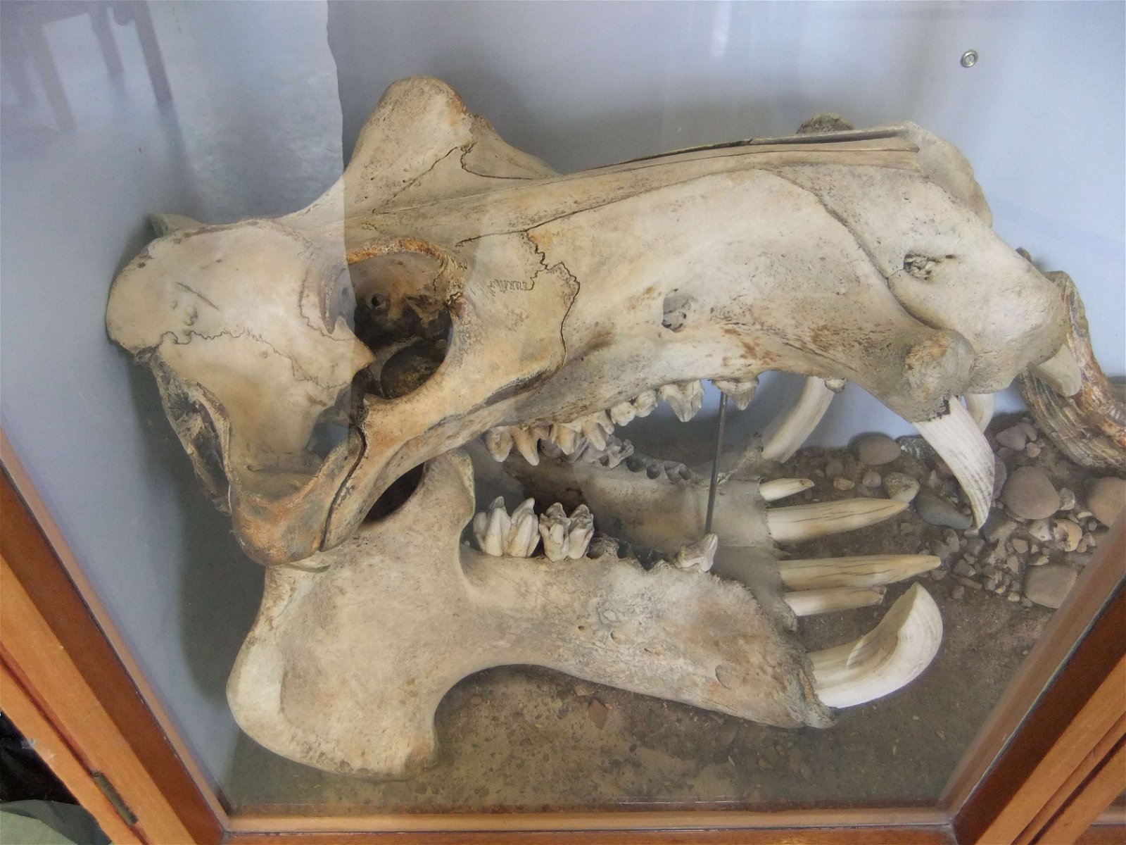 Worcester City Art Gallery and Museum