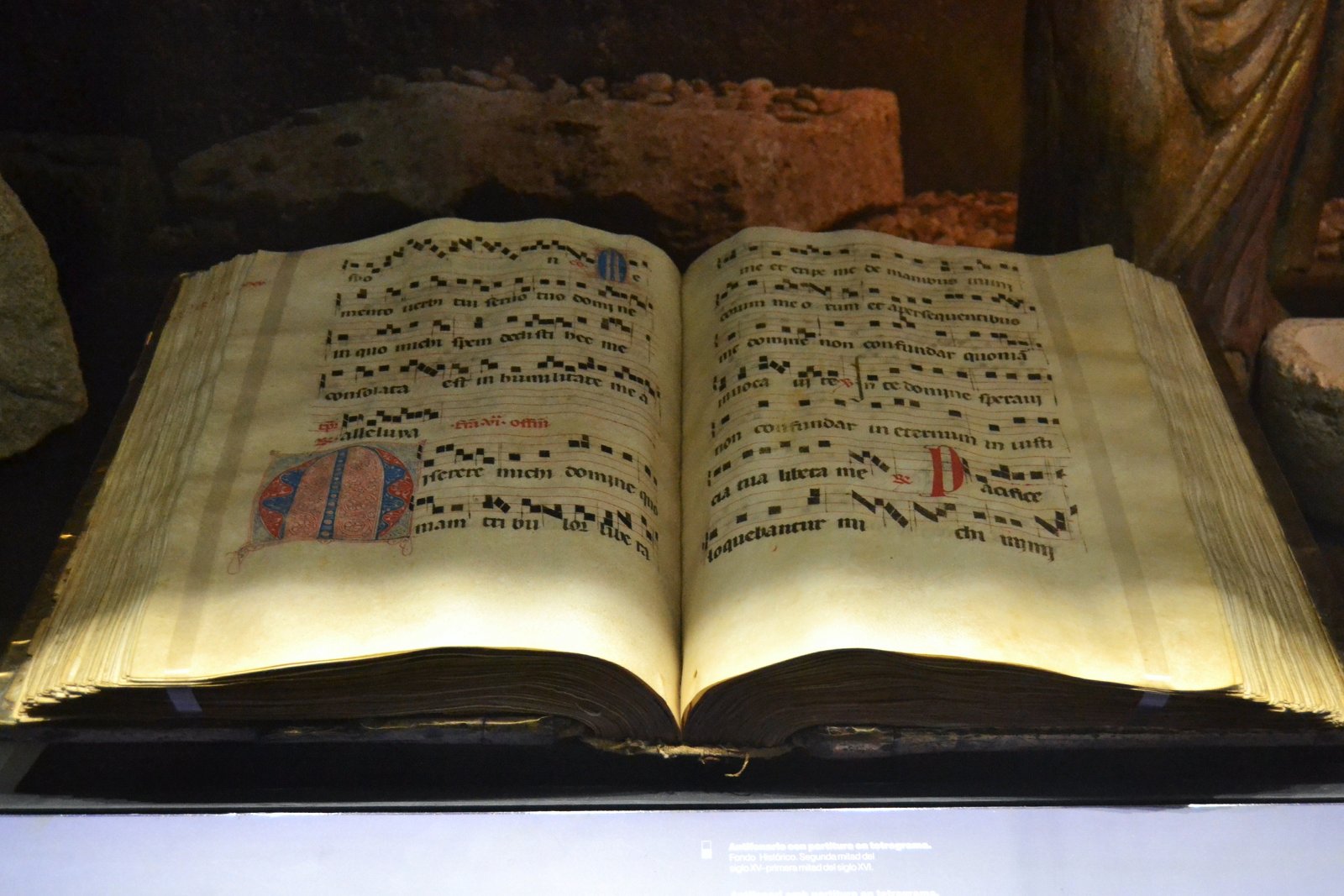 Museo Arqueológico Provincial de Alicante