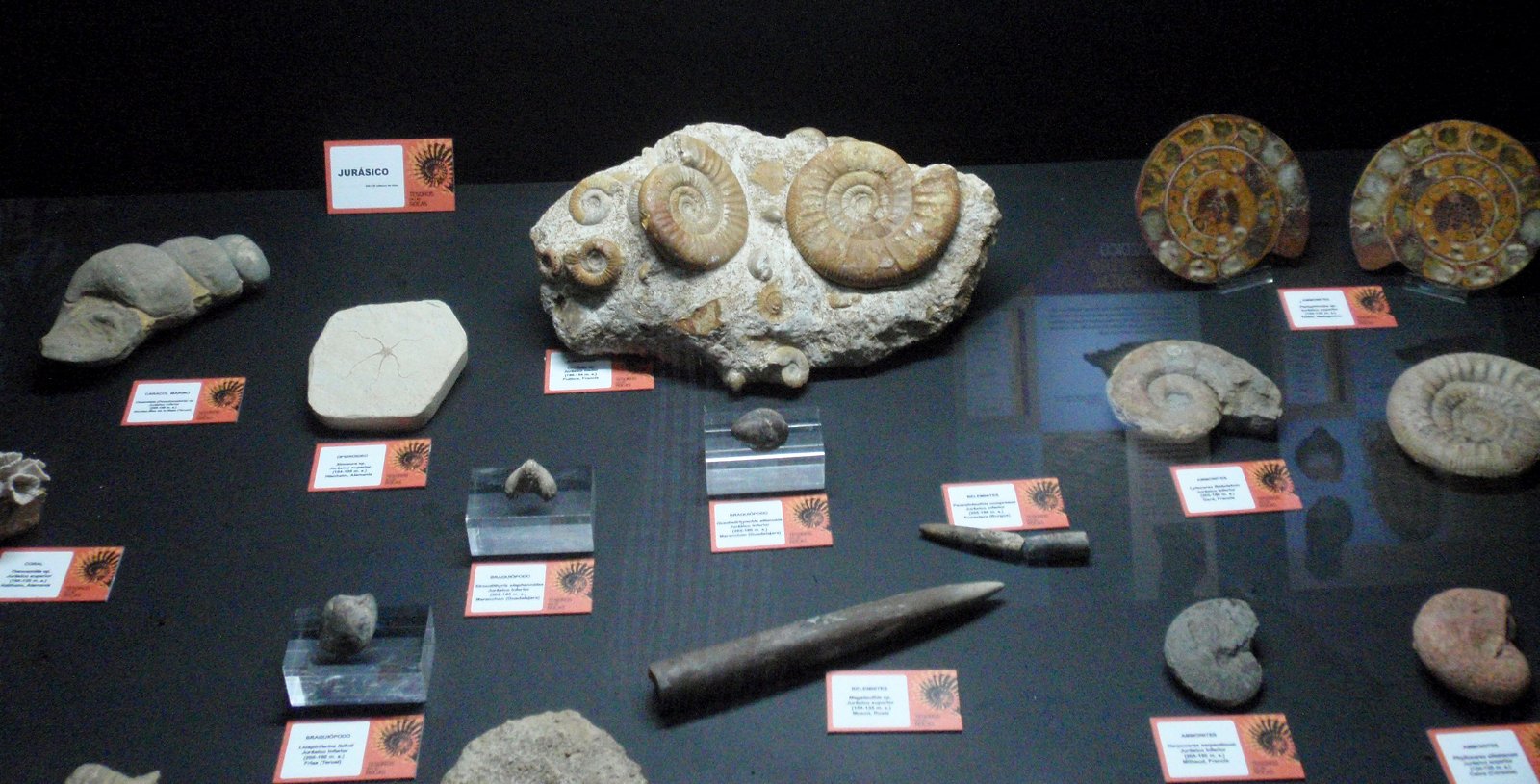 Museo Elder de la Ciencia y la Tecnología