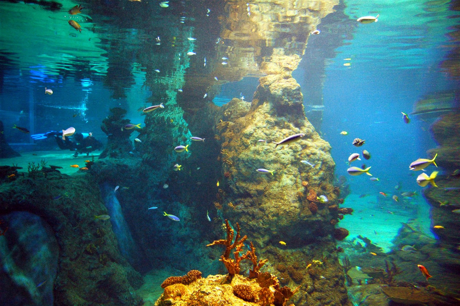 Wroclaw Zoo & Africarium