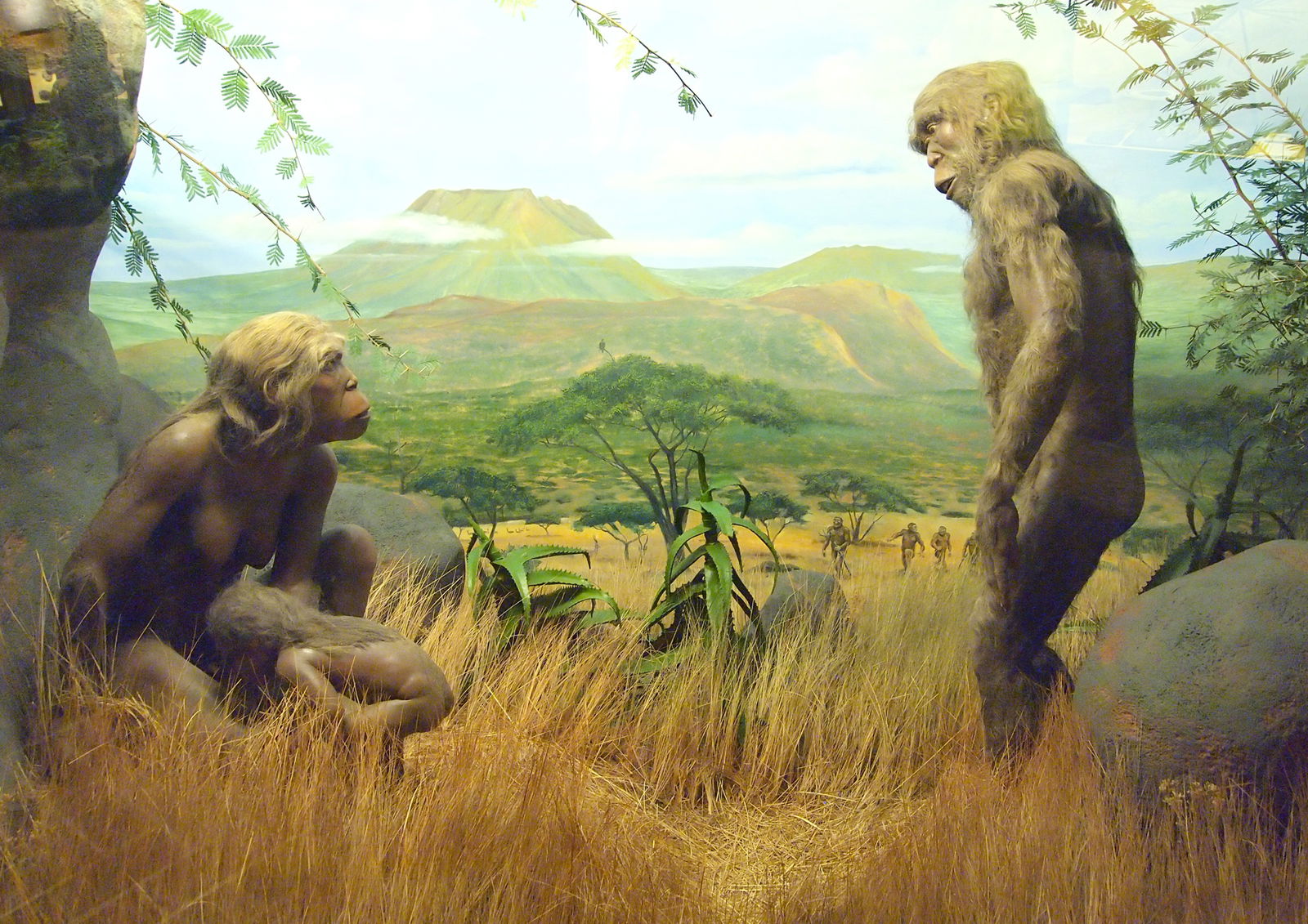 Museum Mensch und Natur